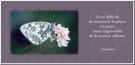 Le bonheur : de petits instants pr&eacute;cieux